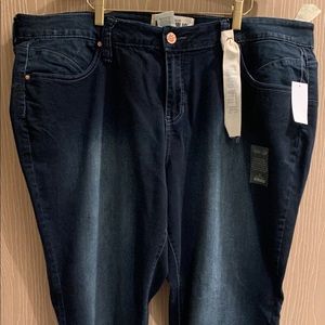 NWT 24W Hydraulic straight leg jeans